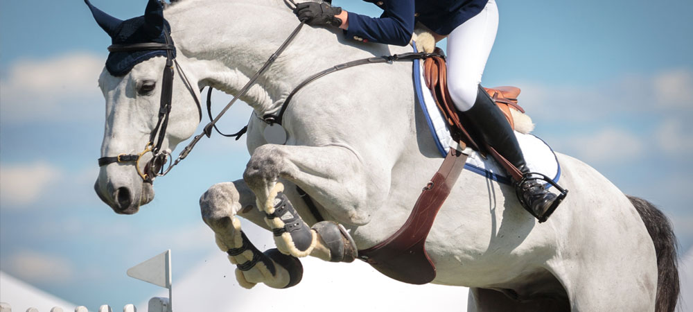 Pferdesport vor dem Saisonstart – Voltigierer des RV Kurtscheid schaffen Prüfung mit Bravour.